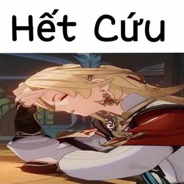 hình ảnh hết cứu