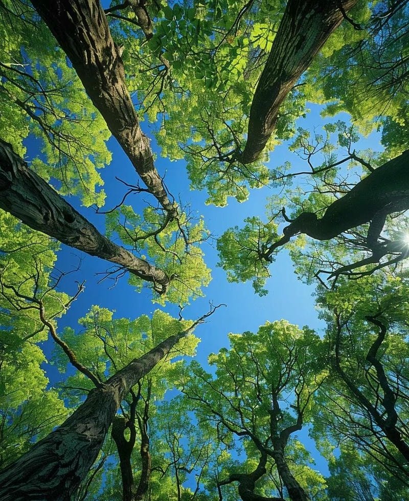 hình ảnh thiên nhiên tươi đẹp