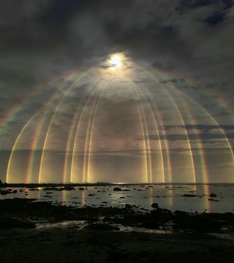 hình ảnh tự nhiên