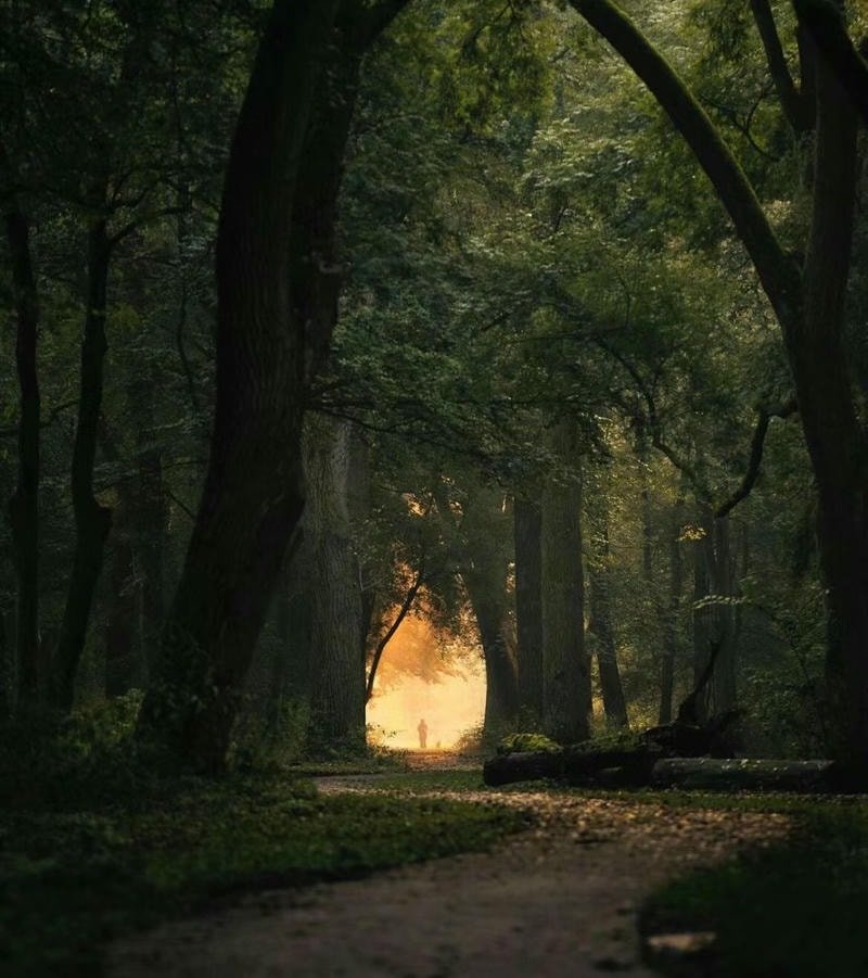 hình nền cảnh đẹp thiên nhiên