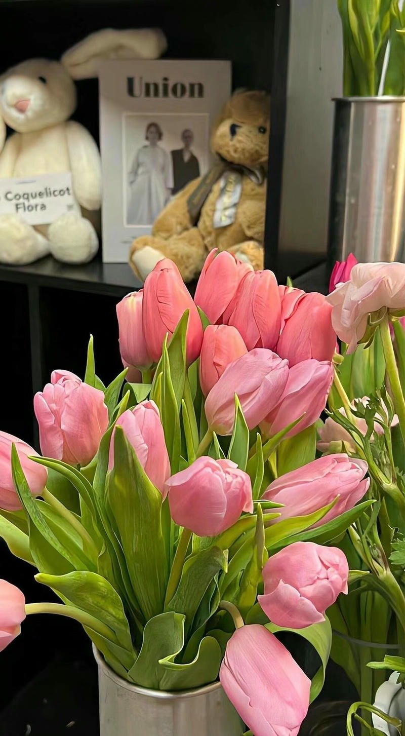 hình nền đt hoa tulip