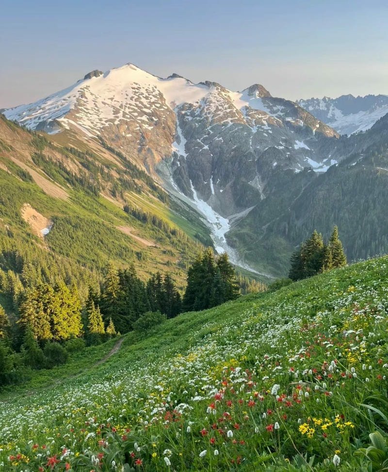 hinh nen thien nhien