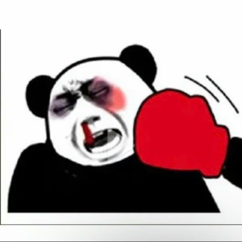 meme gấu trúc bị đánh