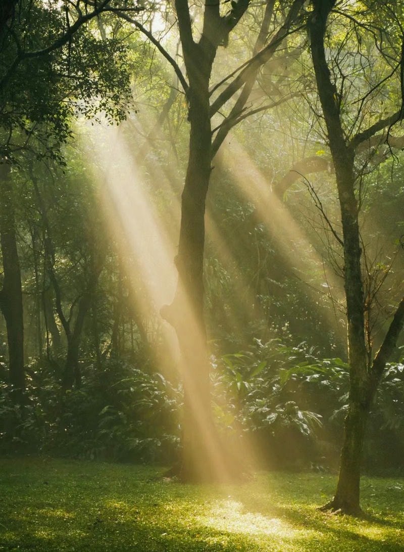 thiên nhiên đẹp