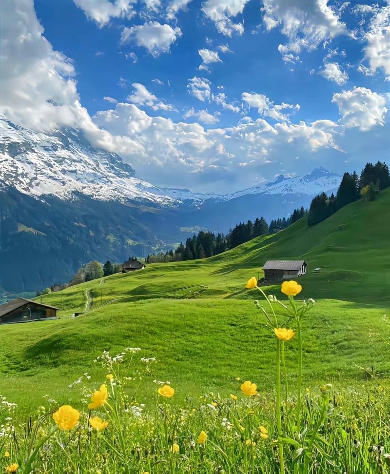 thiên nhiên hình ảnh đẹp