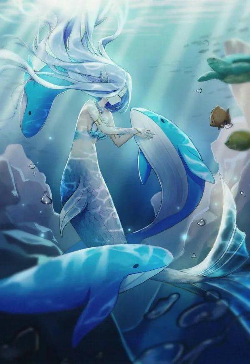 ảnh đuôi nàng tiên cá