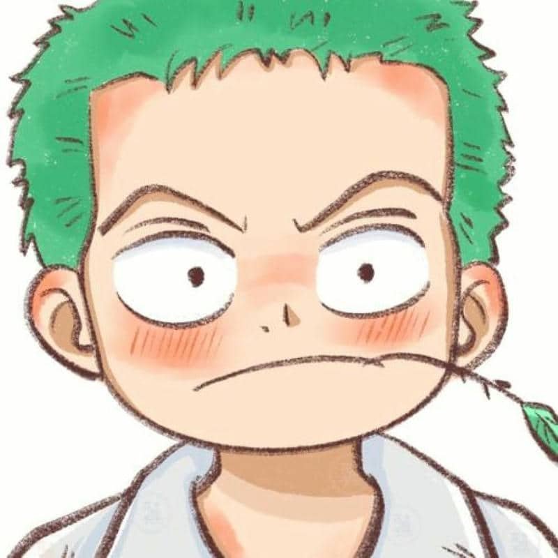 ảnh zoro ngầu anime
