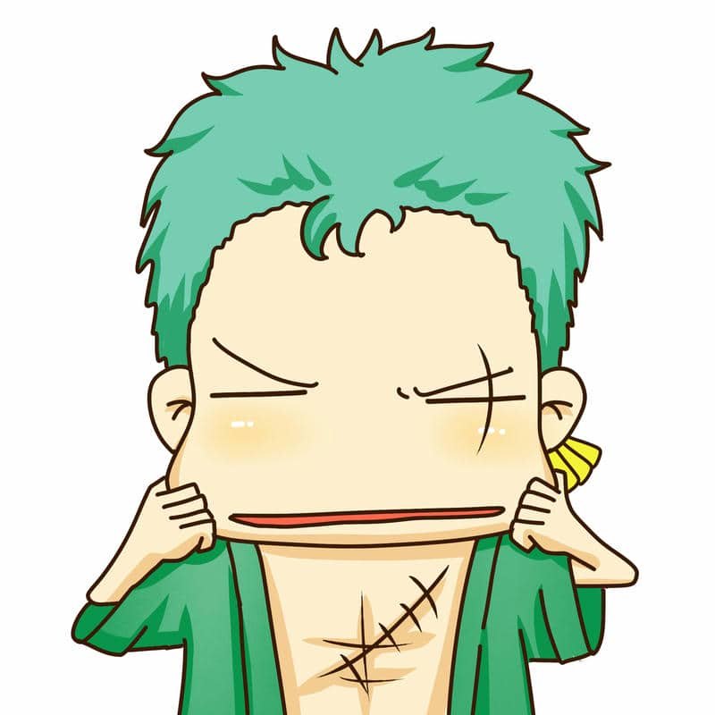 ảnh zoro ngầu cute