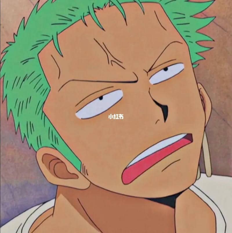 hình ảnh zoro nhỏ
