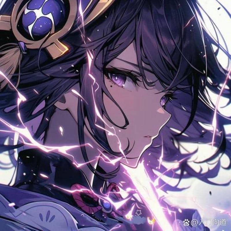 raiden shogun avatar