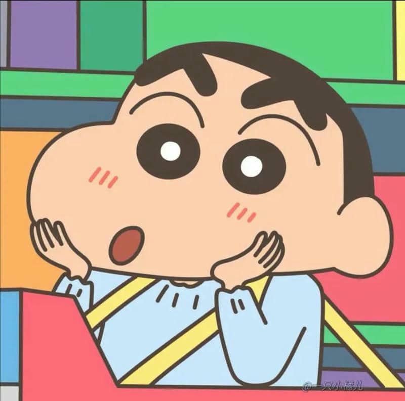 shin ngoài đời thật