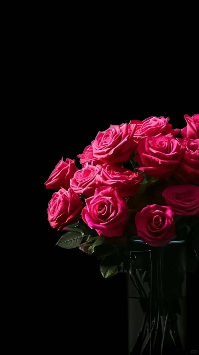 ảnh cây hoa hồng