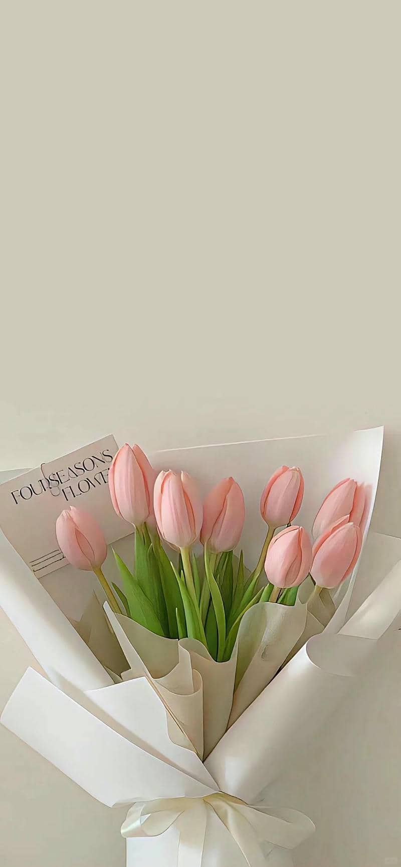 ảnh đẹp hoa tulip