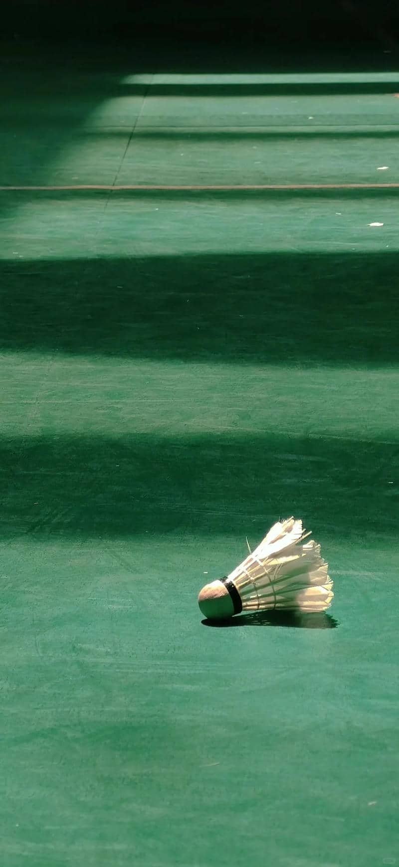 ảnh hình nền cầu lông yonex