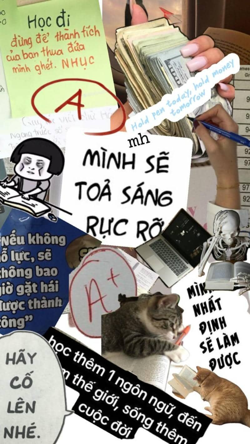 ảnh hình nền học tập đẹp