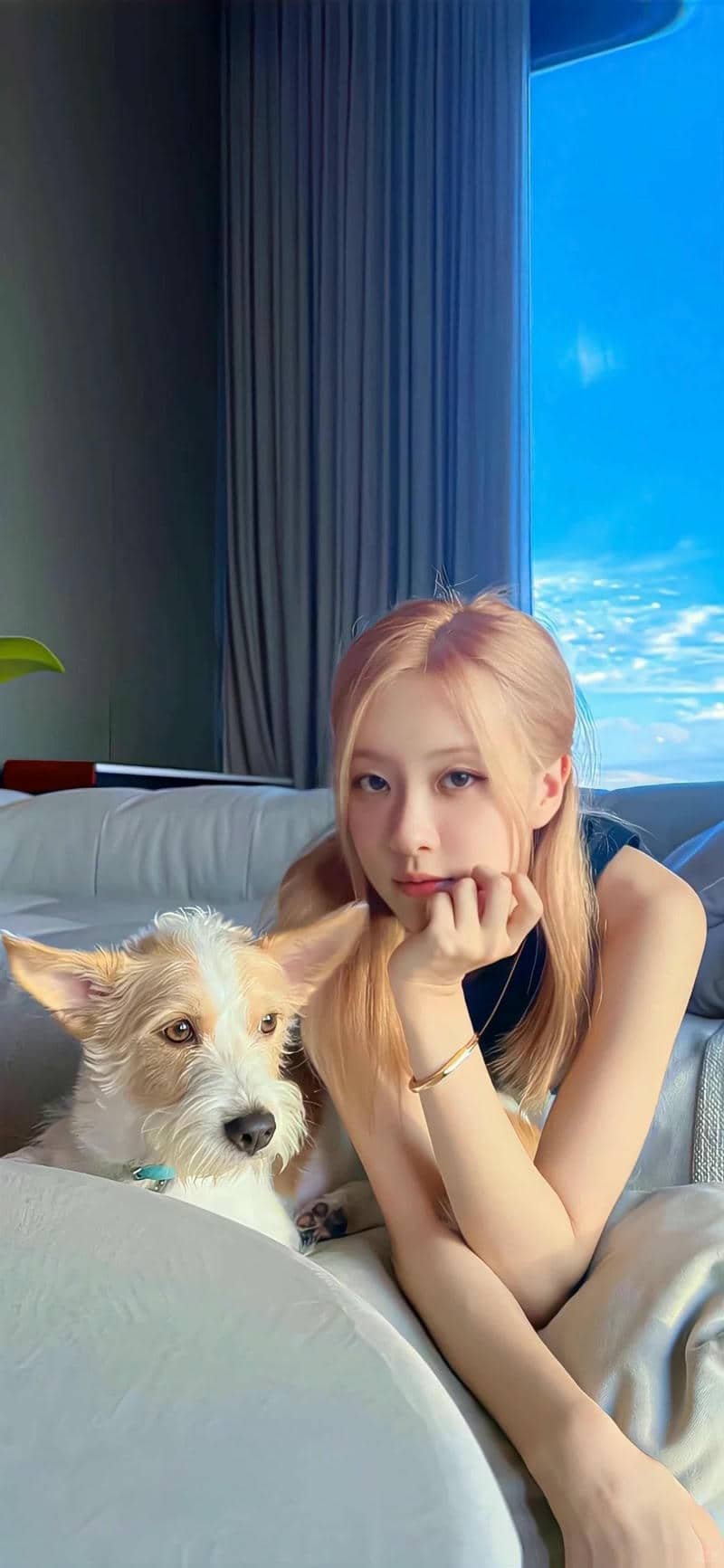 ảnh hình nền rosé cho điện thoại