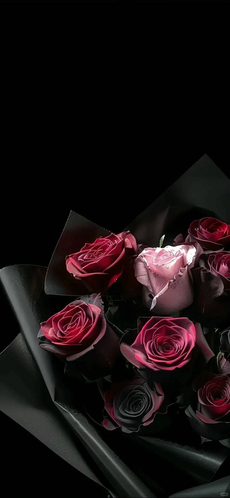 ảnh hoa hồng đẹp 3d