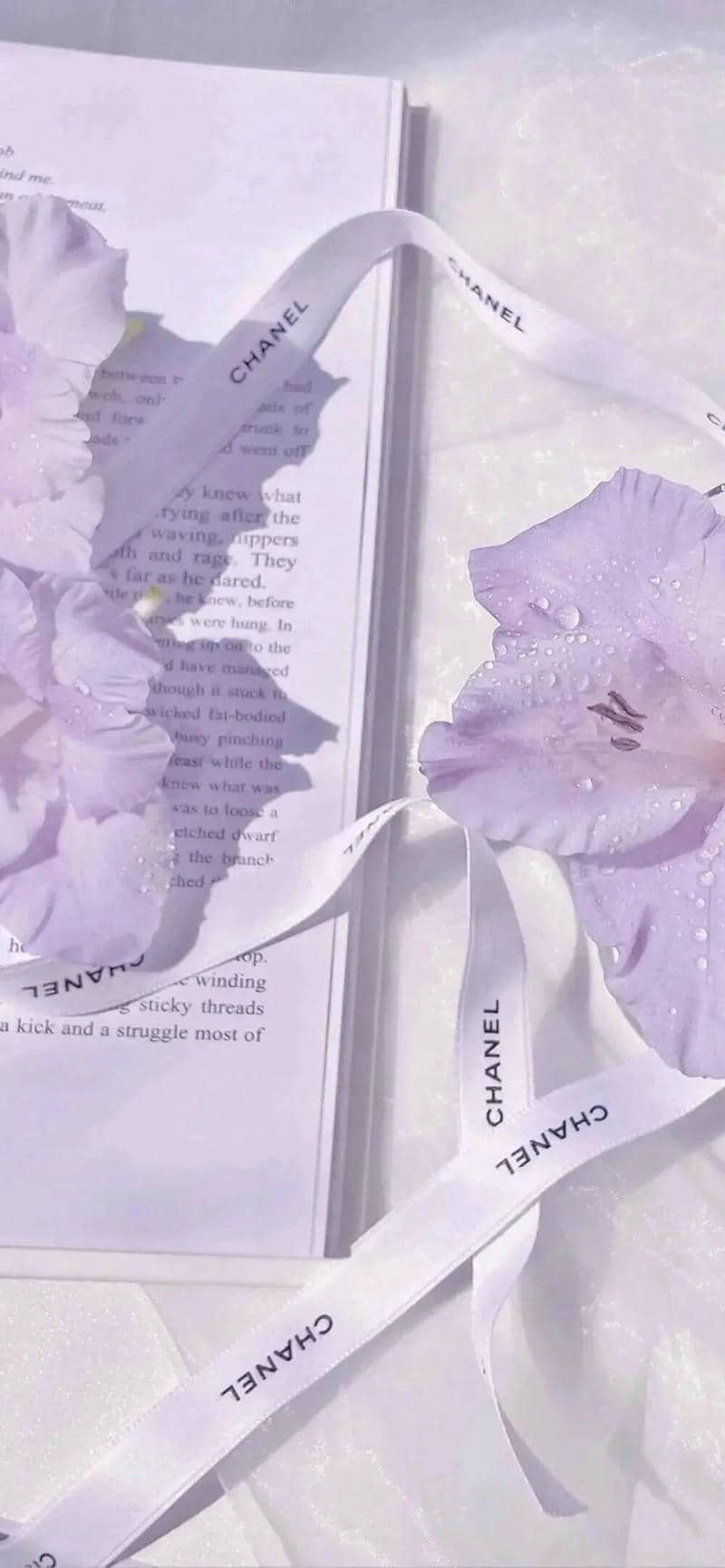 ảnh màu tím nhạt