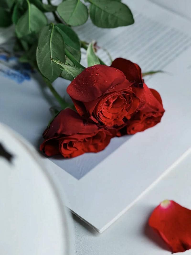 ảnh nền hoa đẹp