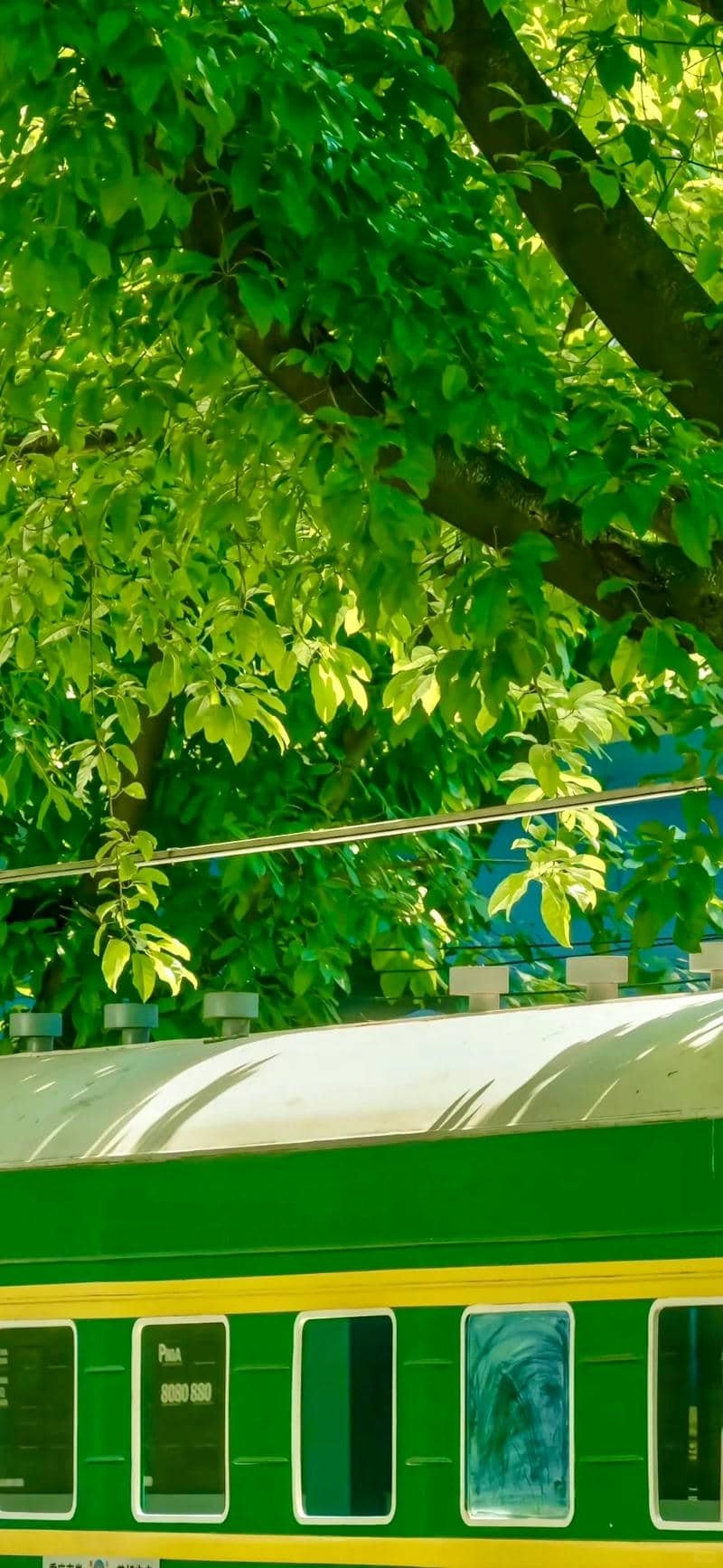 ảnh tài lộc may mắn