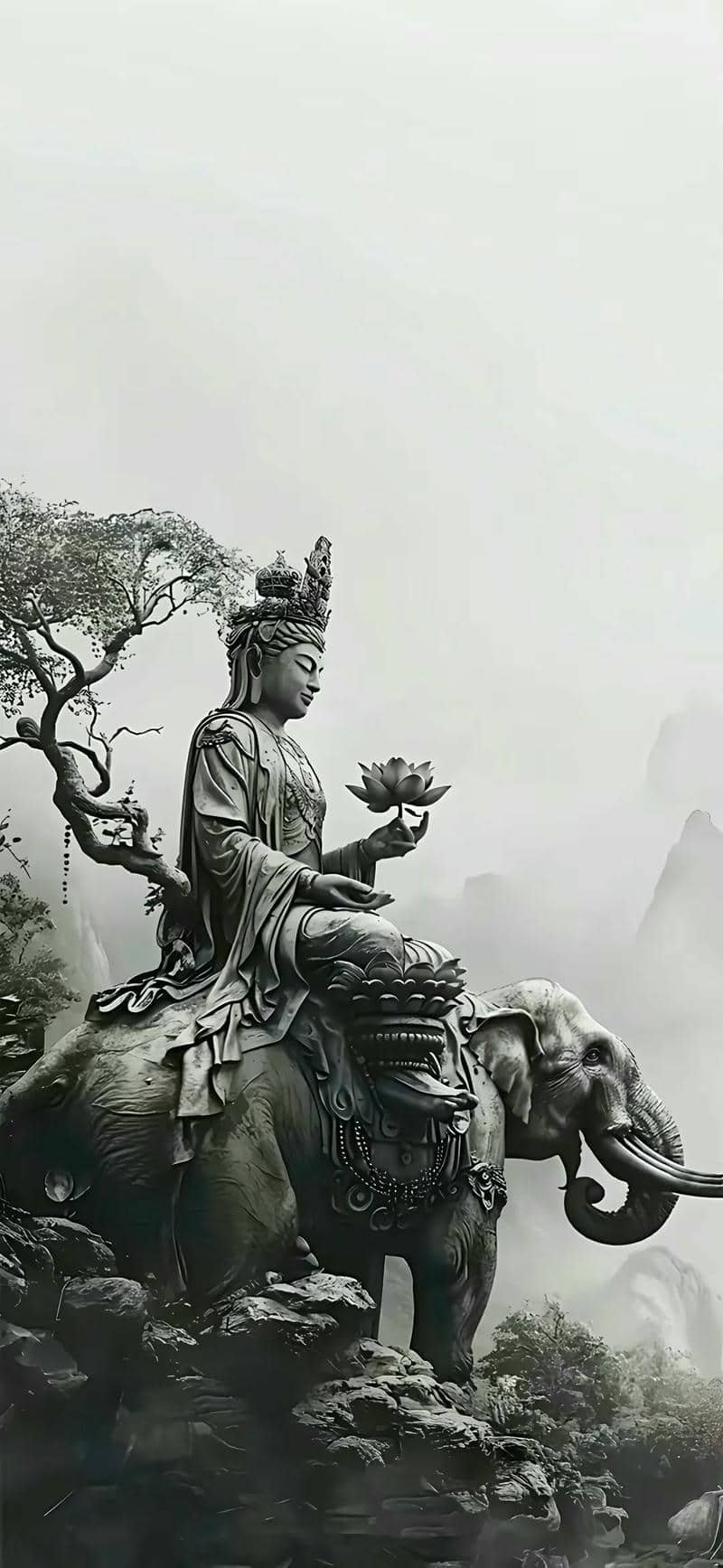 ảnh tượng phật