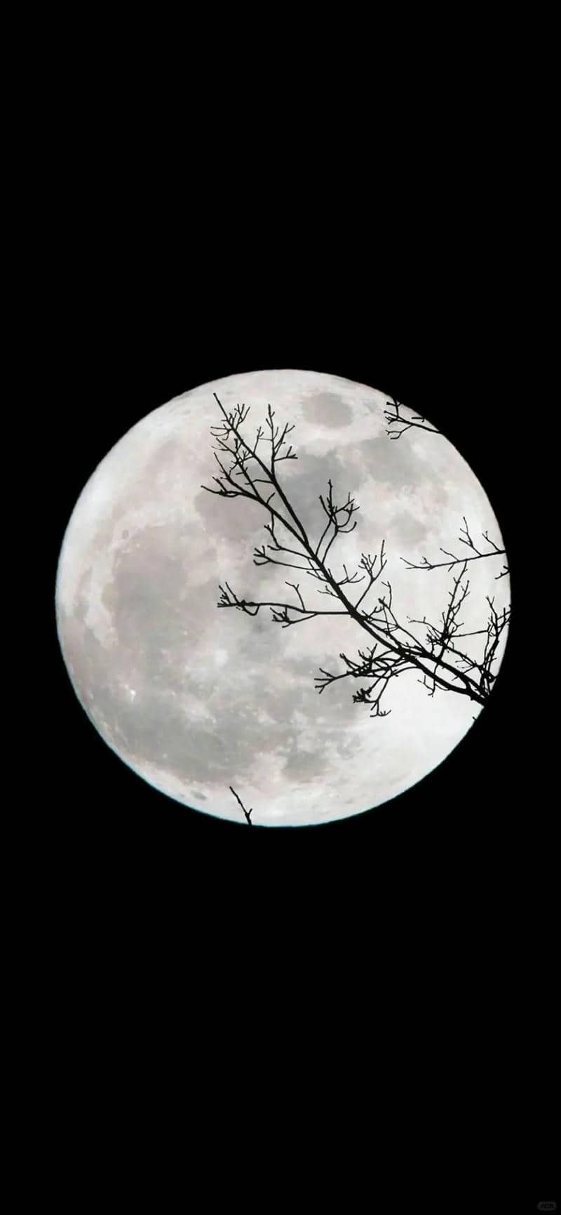 background đen