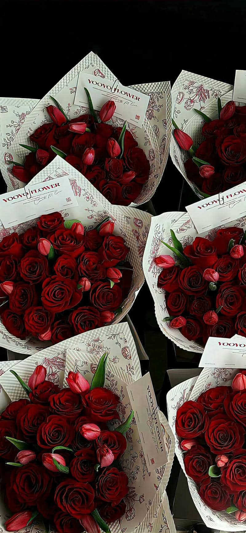background hình nền đỏ