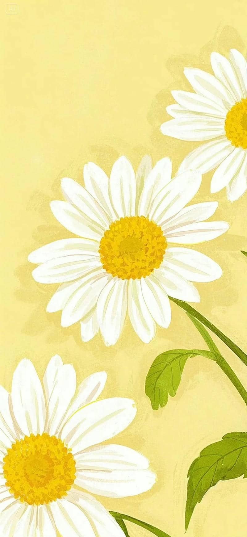 background nền vàng