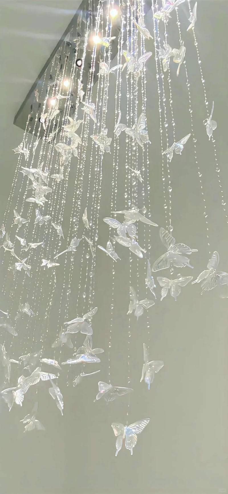 background trắng