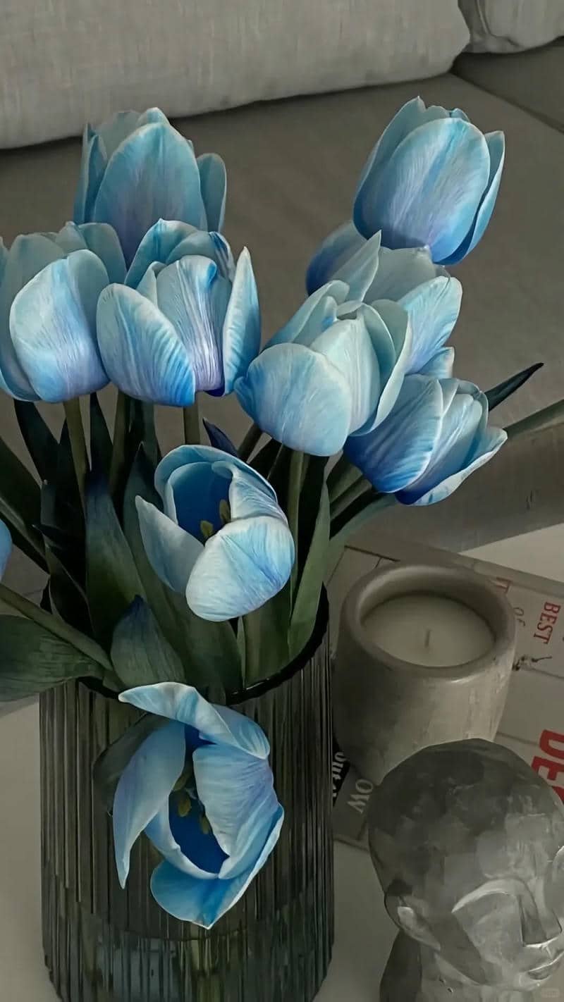 hình ảnh đẹp hoa tulip