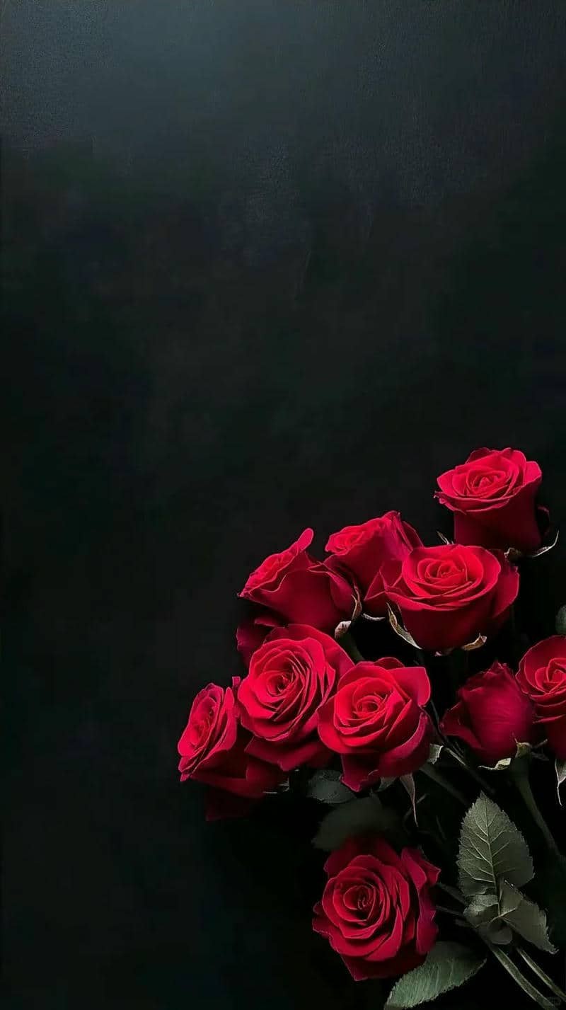 hình cây hoa hồng