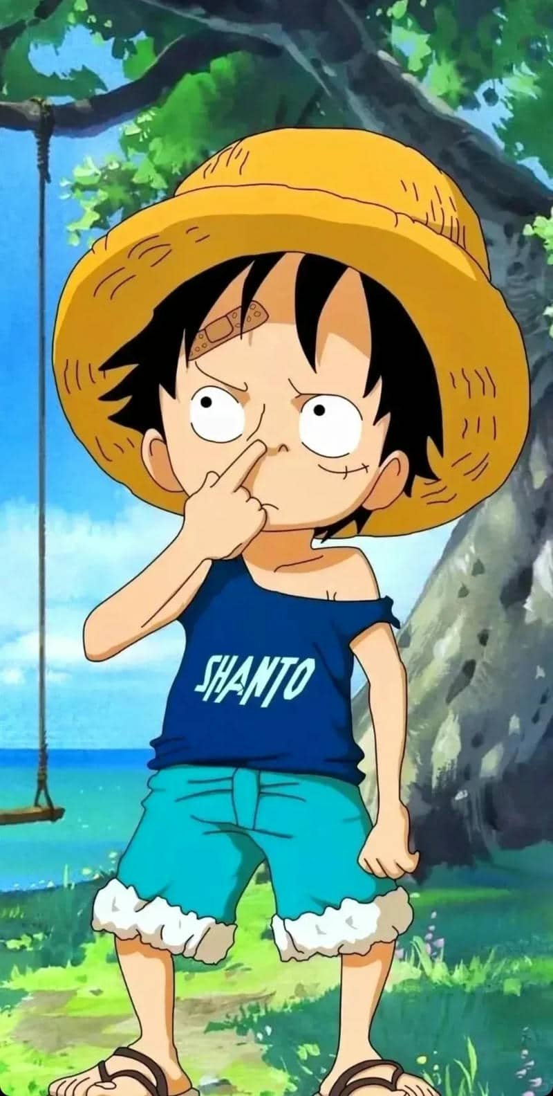 hình nền anime ngầu one piece