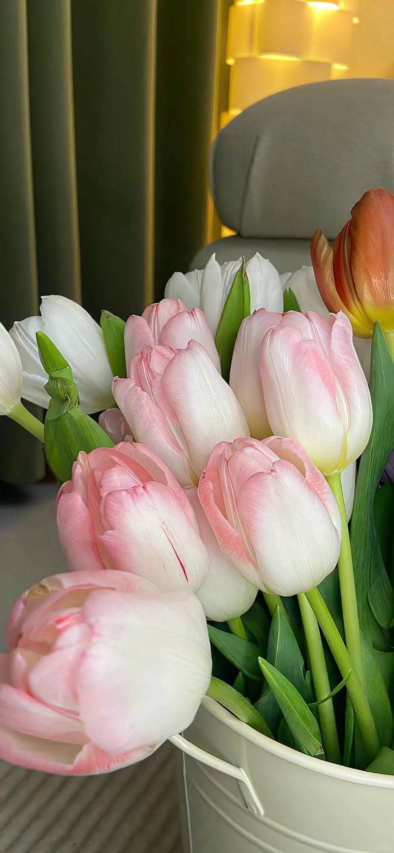 hình nền đẹp hoa tulip