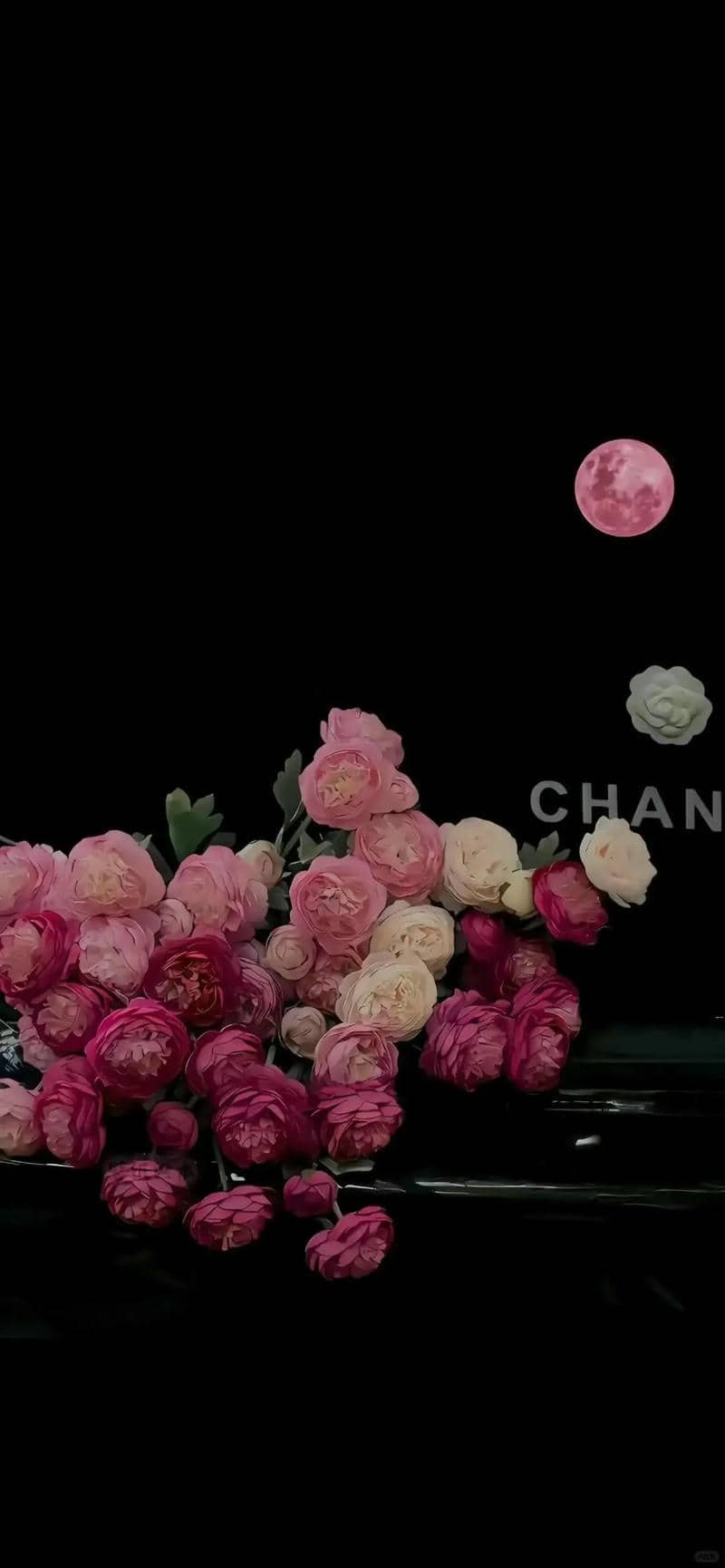 hình nền điện thoại đẹp hoa