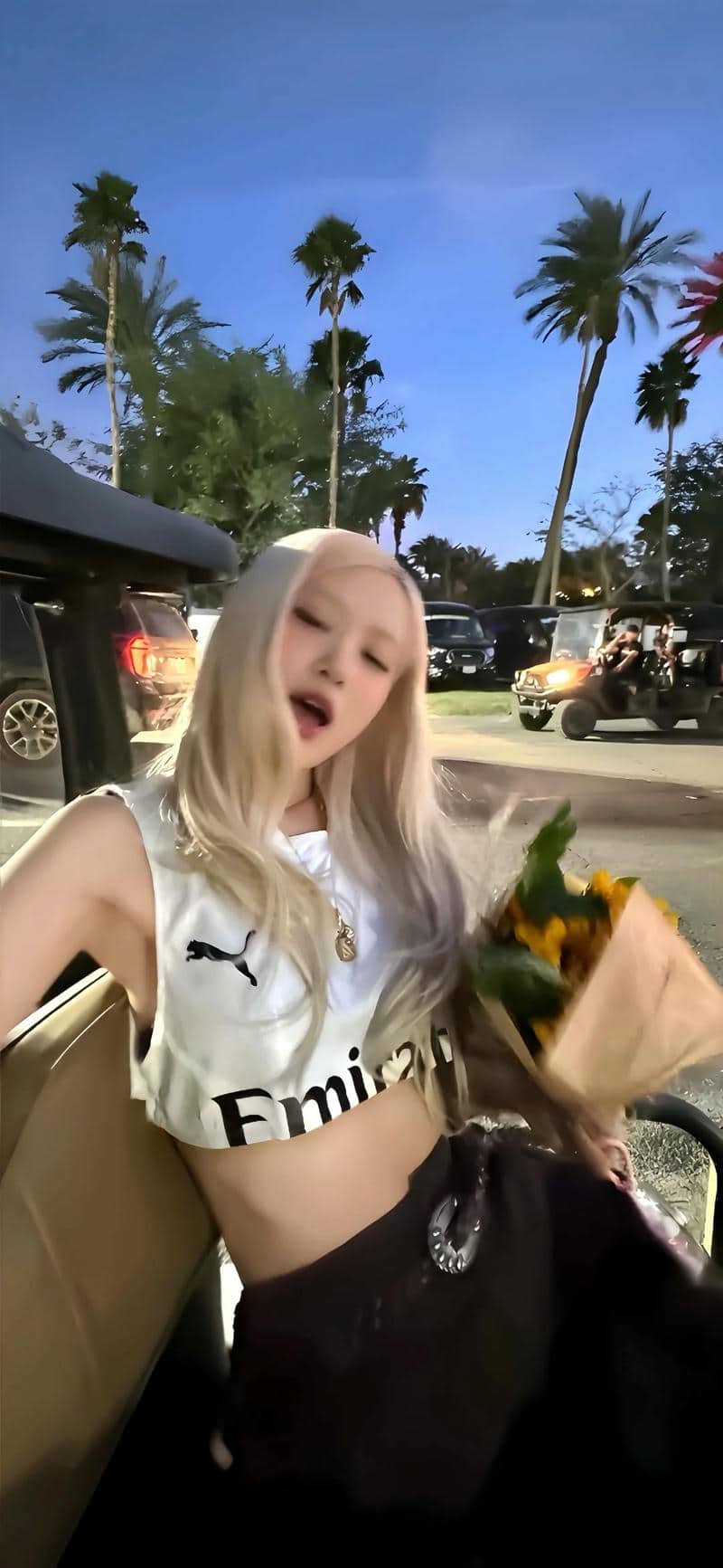 hình nền điện thoại rose blackpink