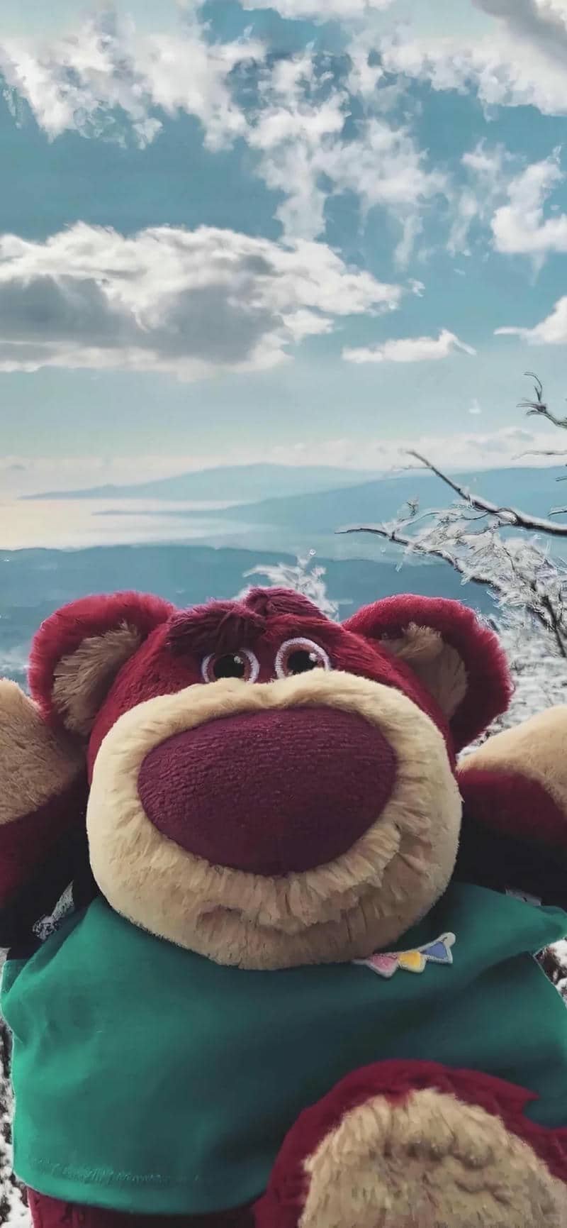 hình nền gấu cute