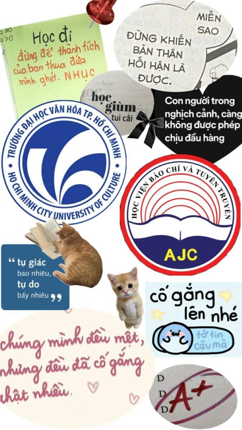 hình nền học sinh