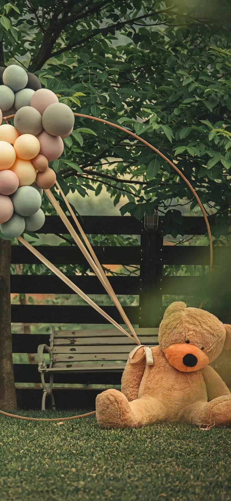 hình nền ip đẹp