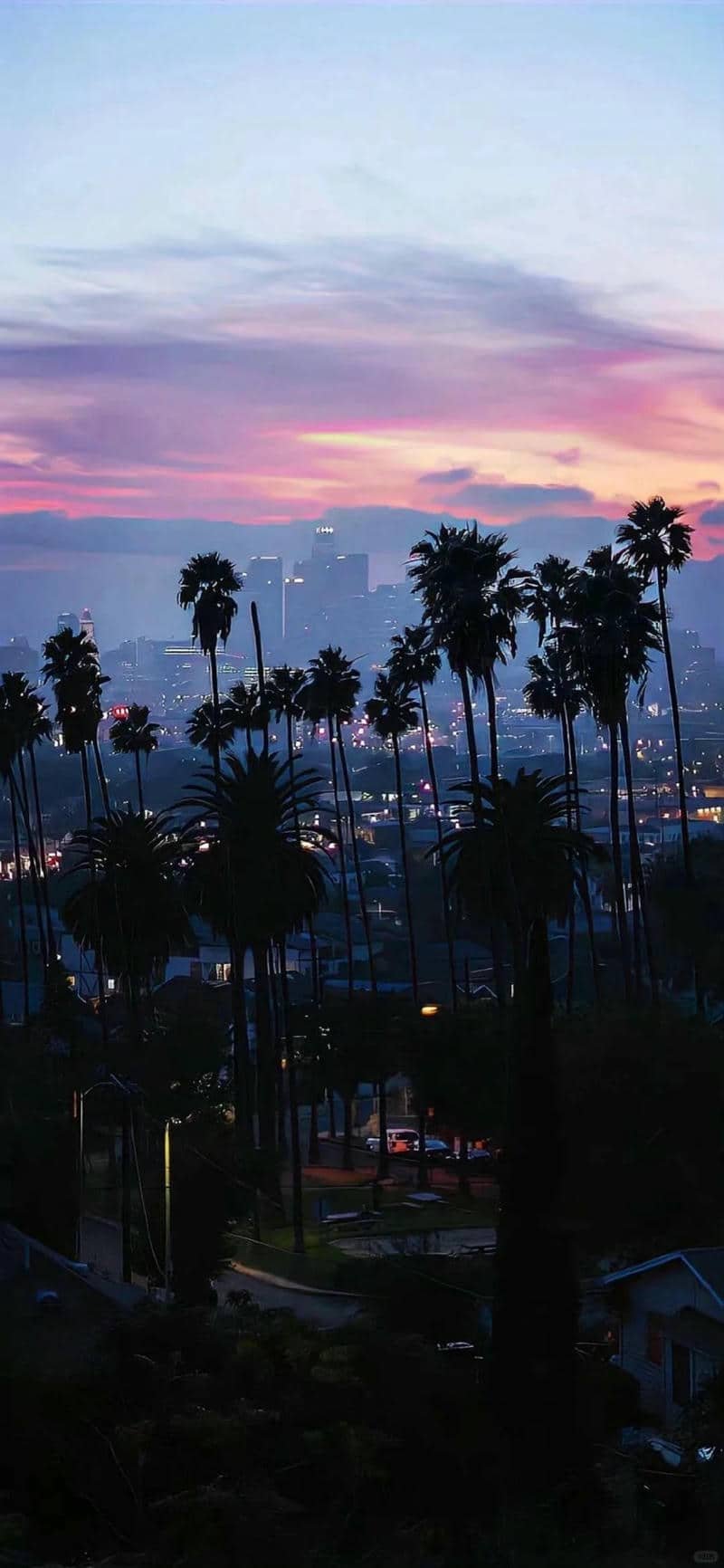 hình nền màu tím ngầu