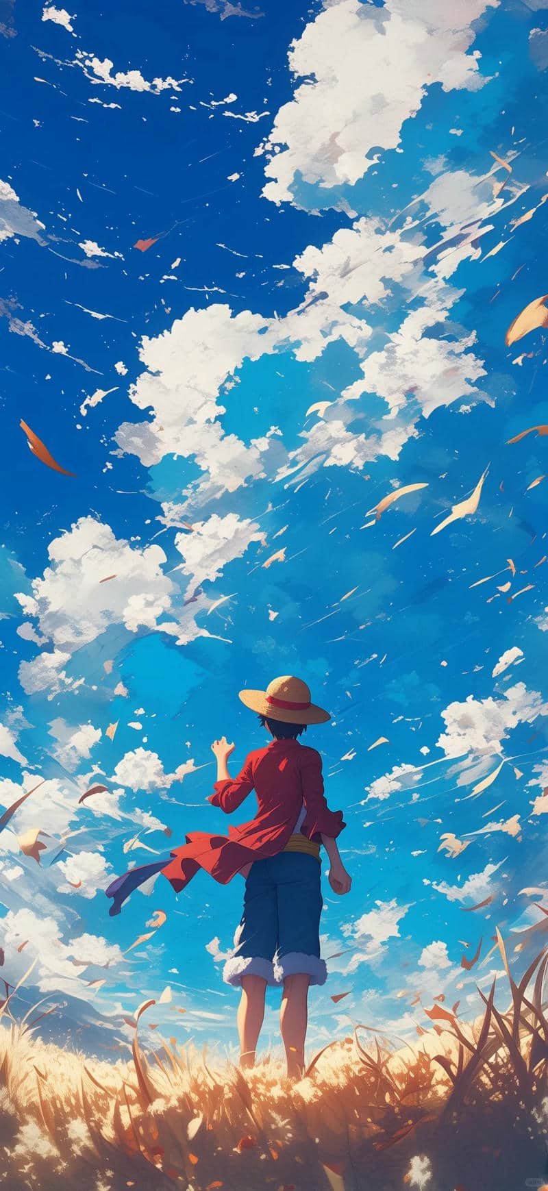 hình nền one piece 4k
