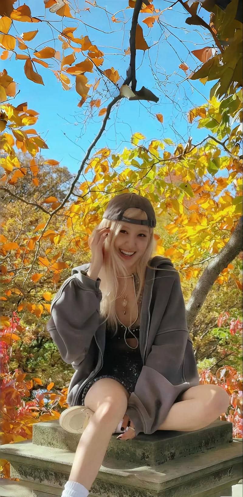 hình nền rose cute