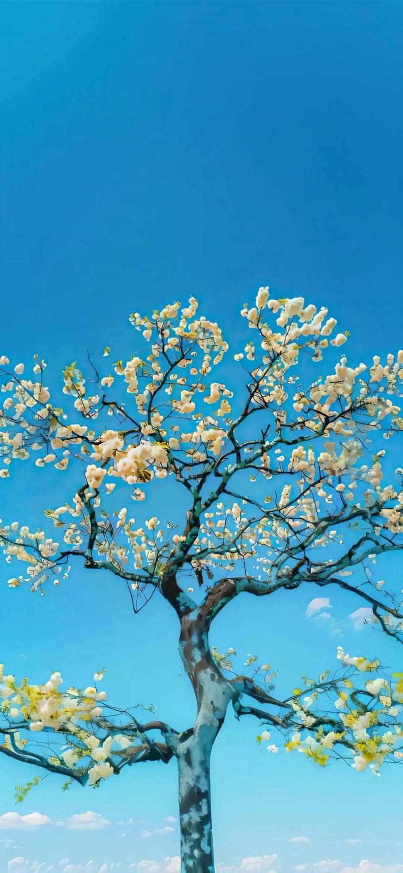 hình nền samsung đẹp nhất full hd