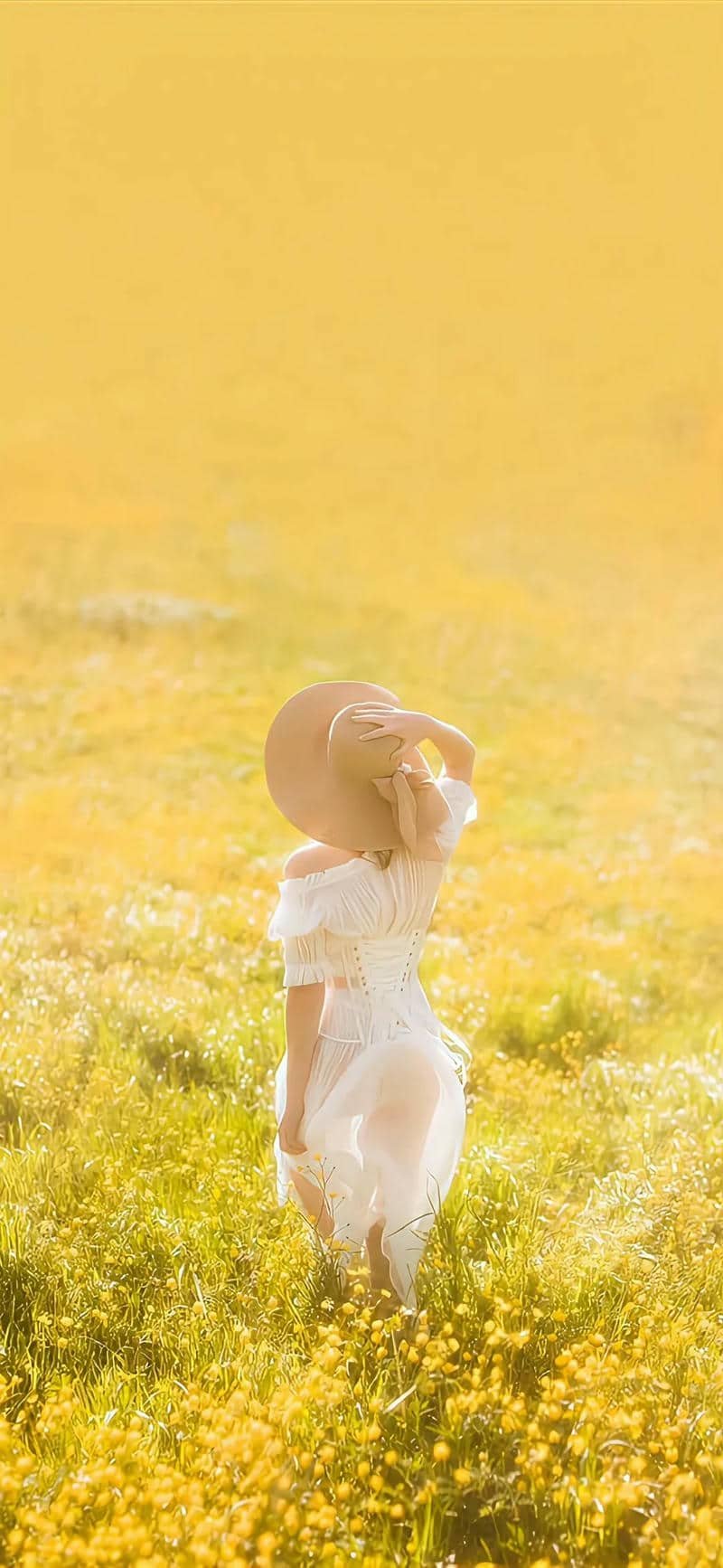 hình nền vàng