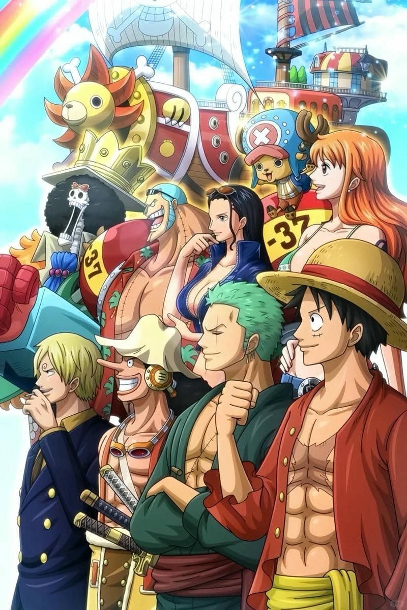 hình one piece