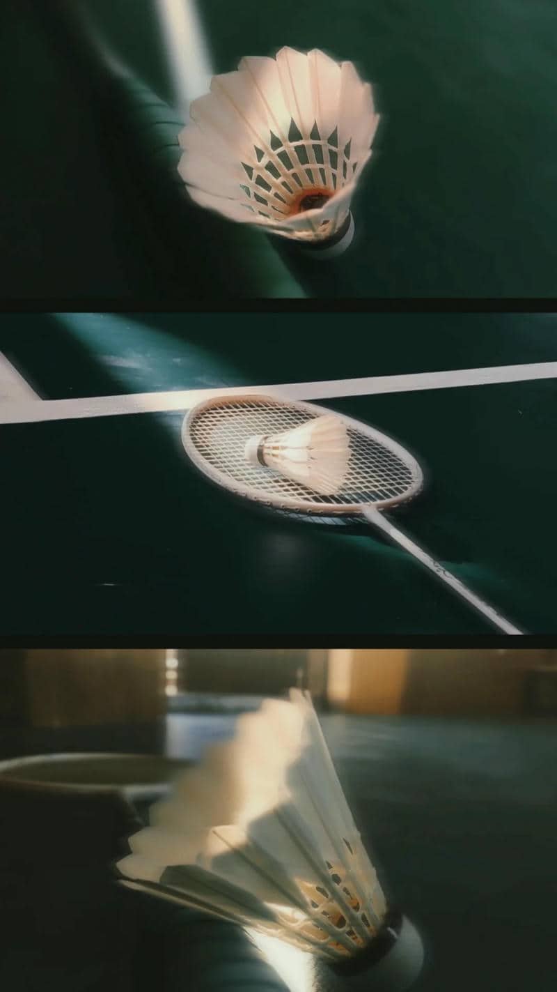 hình yonex