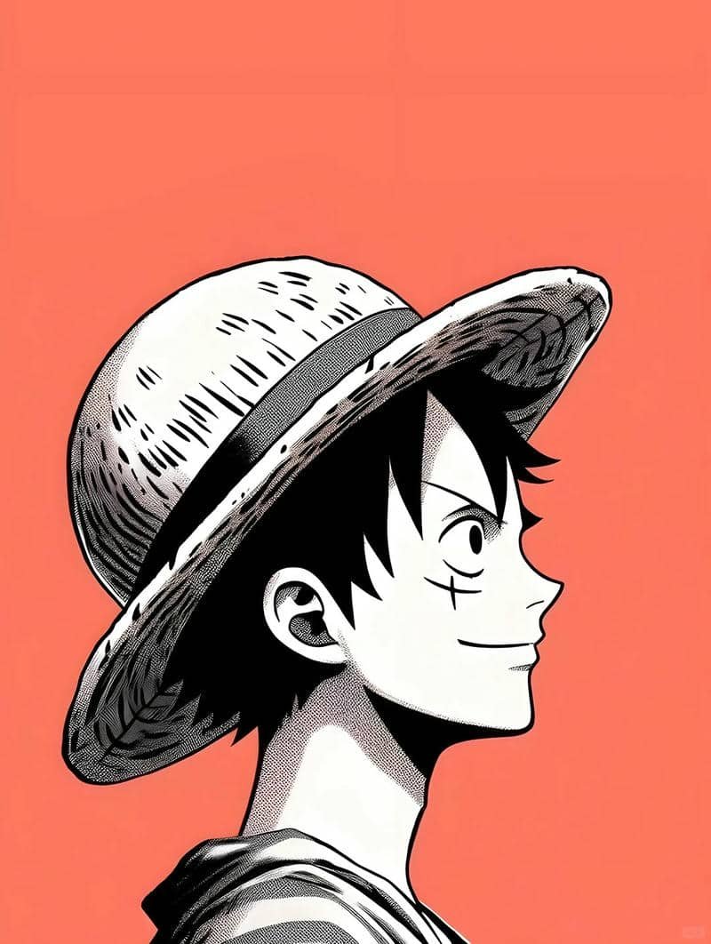 luffy full
