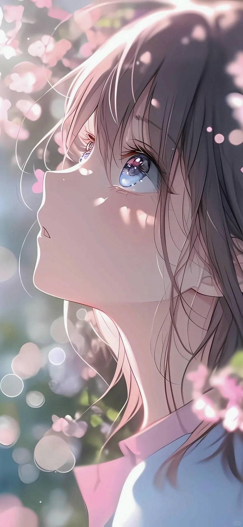 nền đẹp ảnh anime