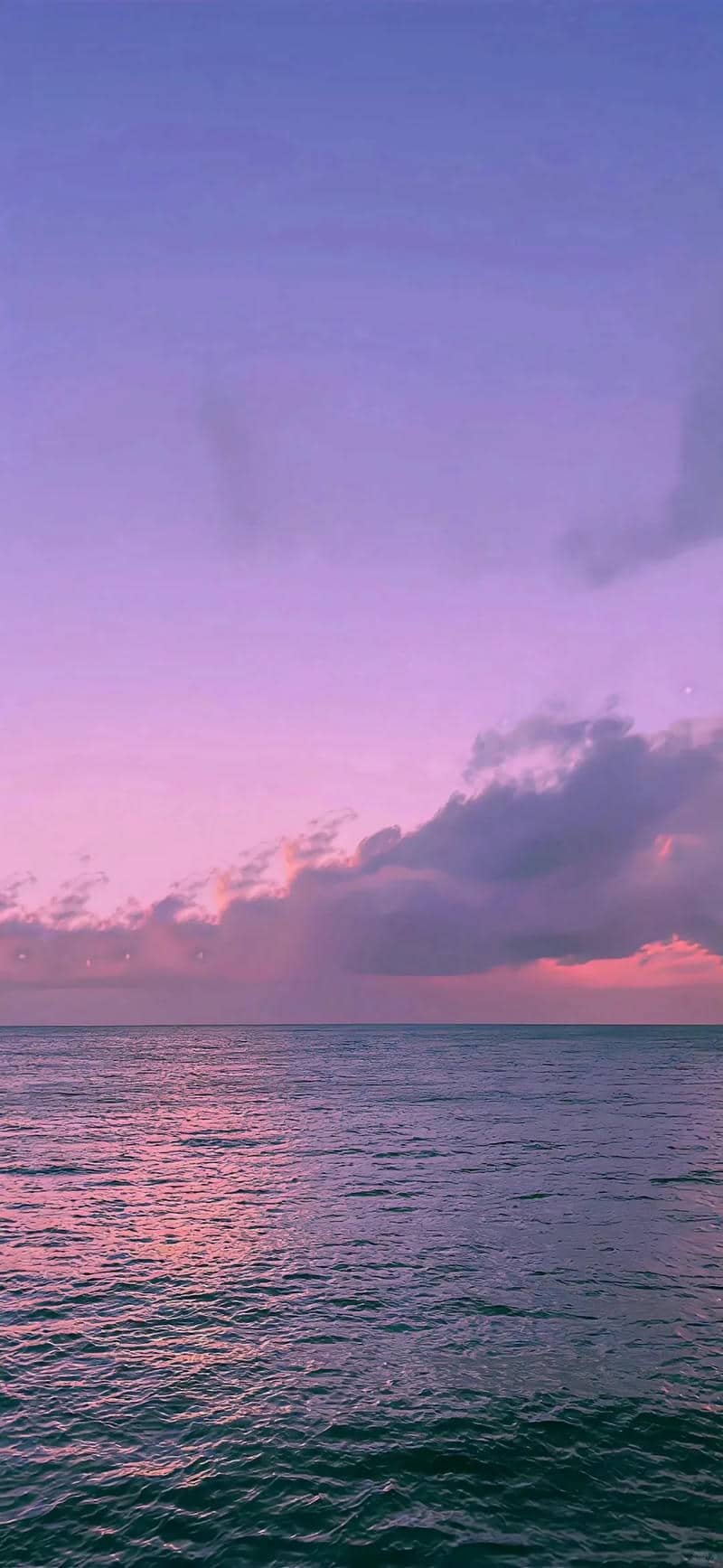 phông nền màu tím